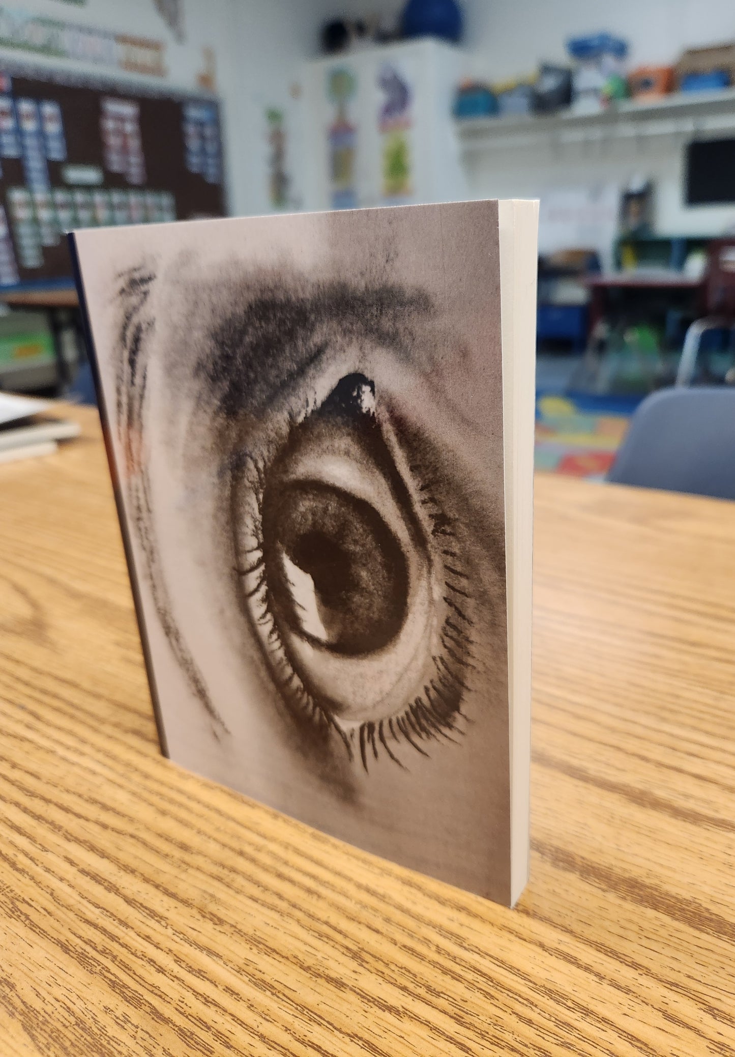 The Eye Journal